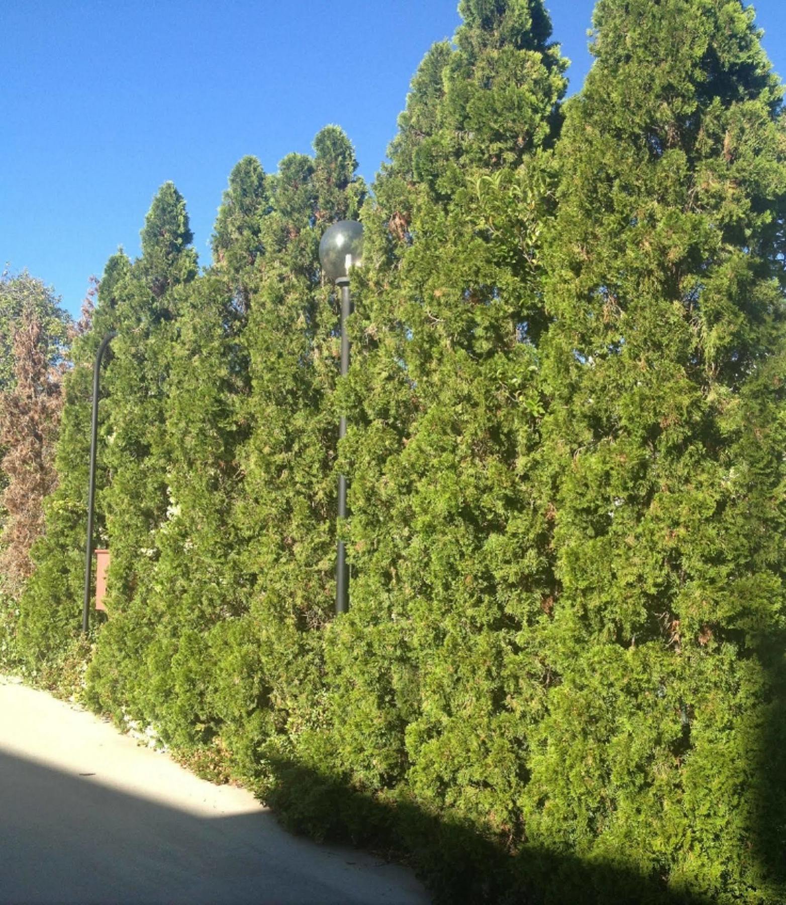 Crest Motor Inn Queanbeyan Εξωτερικό φωτογραφία